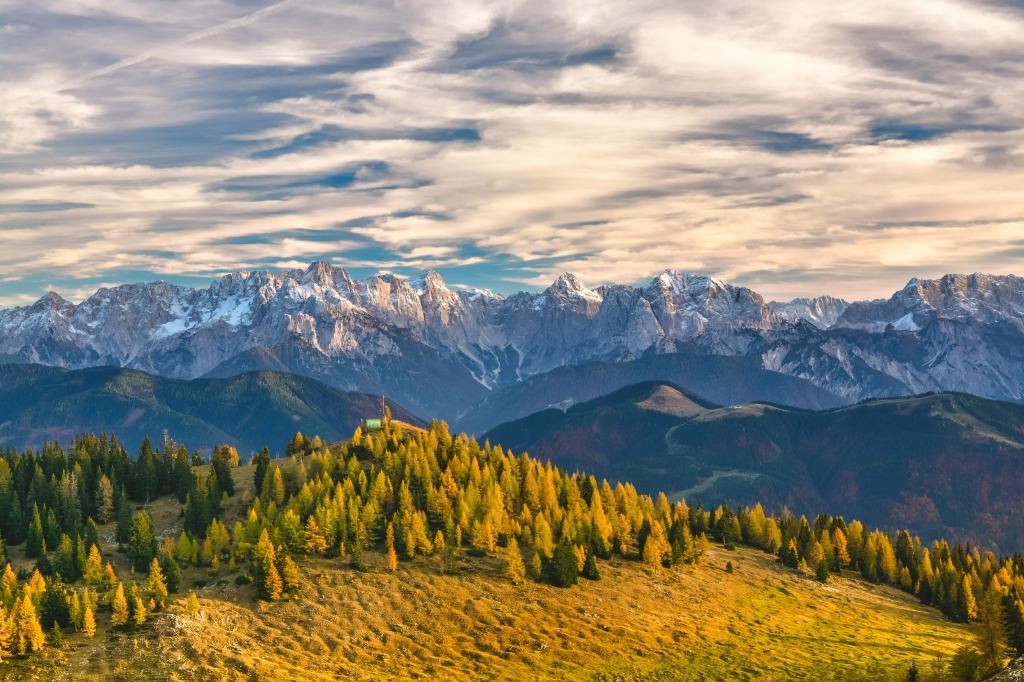 在白天,奥地利高清壁纸山上的绿色树的照片