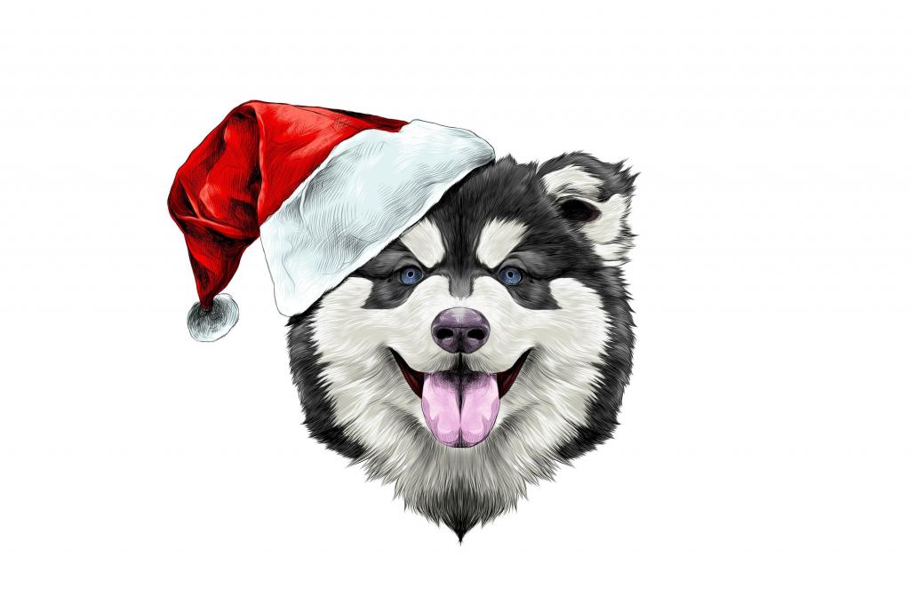 狗,帽子,假期,快乐,圣诞老人,2018年,幸福,帽子,新年,新的一年,狗