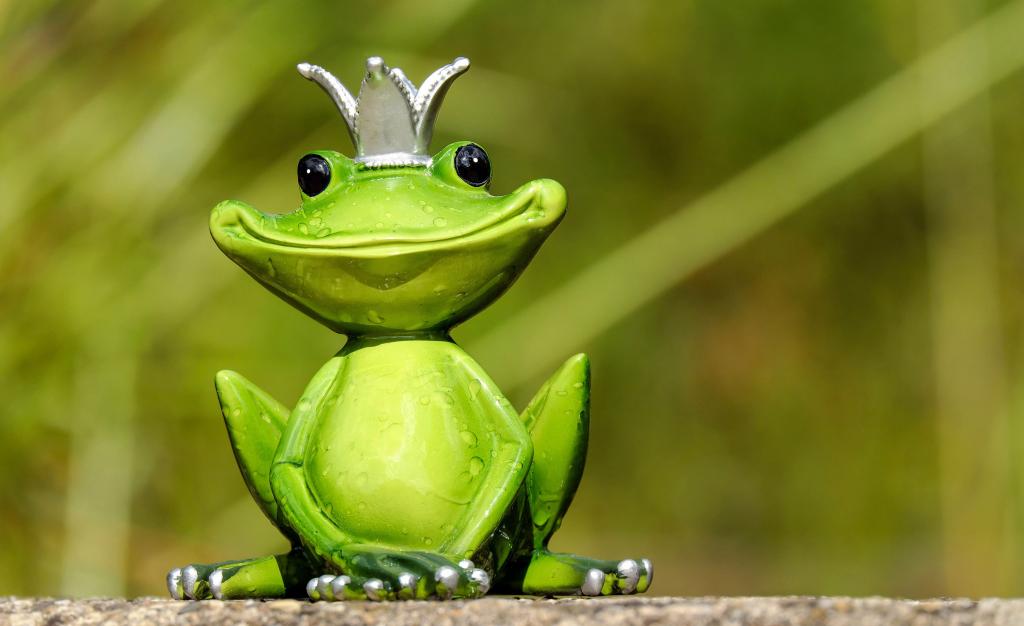 绿色的国王青蛙雕像高清壁纸的选择性焦点