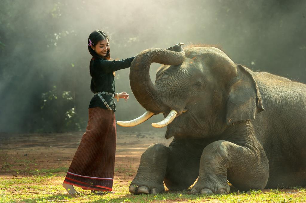 女孩玩大象高清壁纸