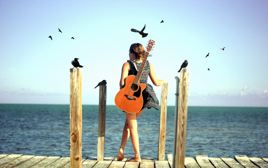 海,鸟,心情,吉他,女孩