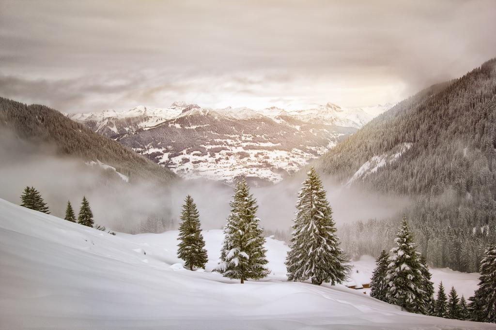 山和被雪覆盖的树的风景照片高清壁纸