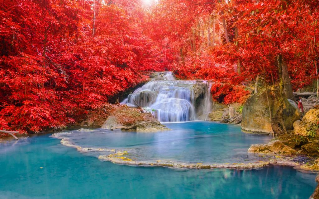 瀑布,光,性质,瀑布,秋,水,美丽,河,森林