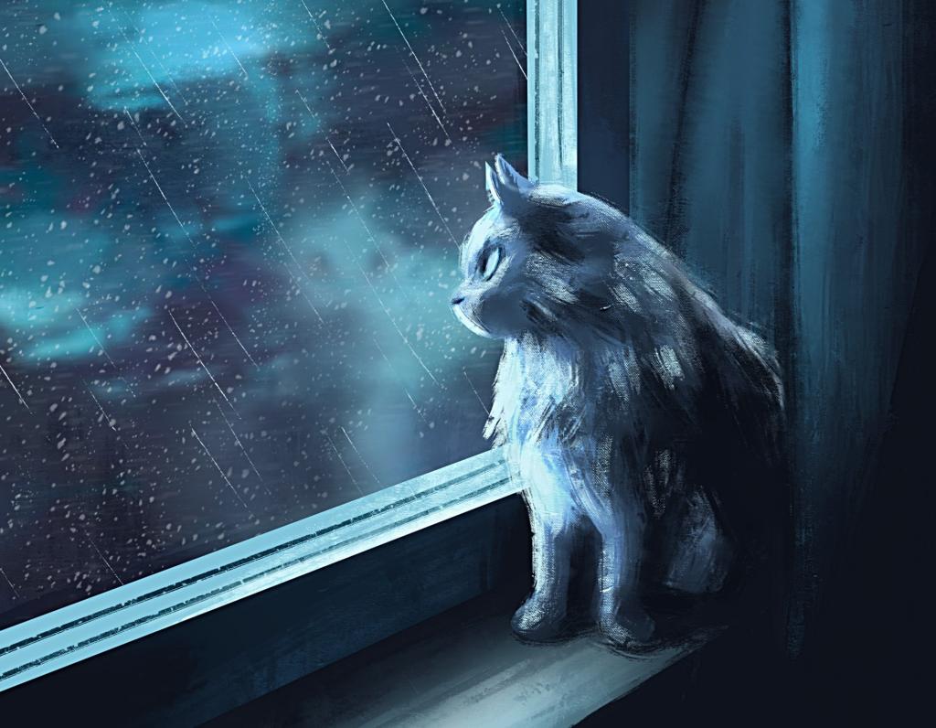 猫,室内,雨