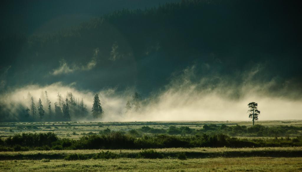 格林菲尔德与雾雾景观摄影,拉马尔山谷高清壁纸