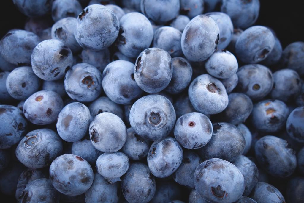 浅焦点摄影的蓝莓高清壁纸