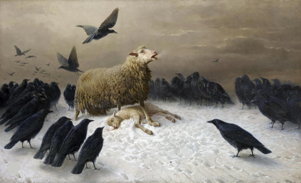 乌鸦,“痛”八月弗里德里希申克,死亡,羊,羊死亡