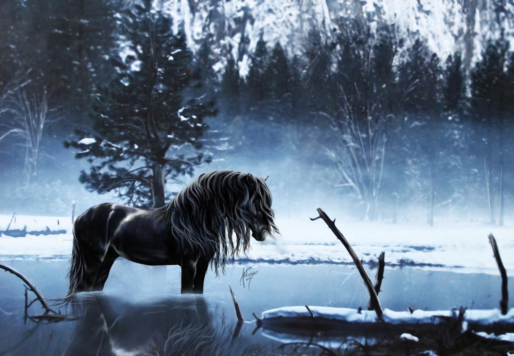 马,反射,雪,艺术,冬天,树,湖,水,马