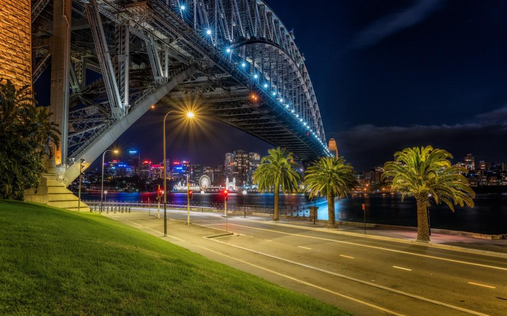 澳大利亚,棕榈树,桥,路,悉尼,灯,晚上,河