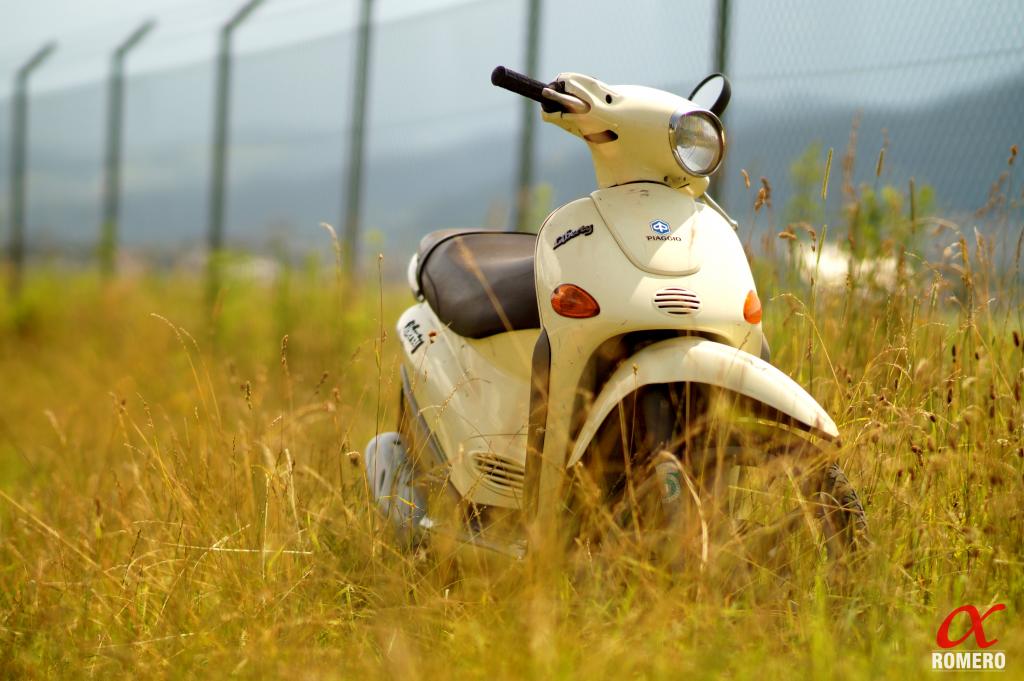 在白天高清壁纸的绿色草地上的白色小型摩托车