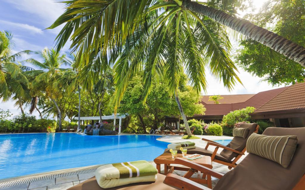 棕榈树,桌子,树木,马尔代夫,外观,酒店,游泳池,日光躺椅