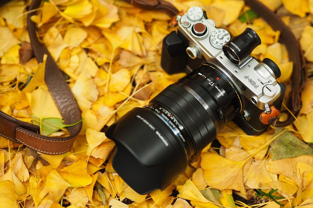 皮带,奥林巴斯,相机,秋天,树叶