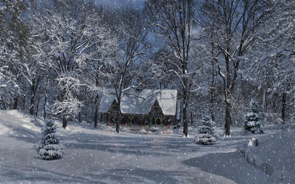 雪,冬天,树,灯,房子,灯泡,森林,景观