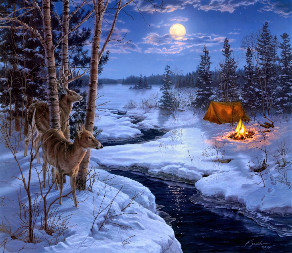 动物,云杉,斧头,雪,冬天,绘画,火,月亮,帐篷,达雷尔布什,流,月亮...