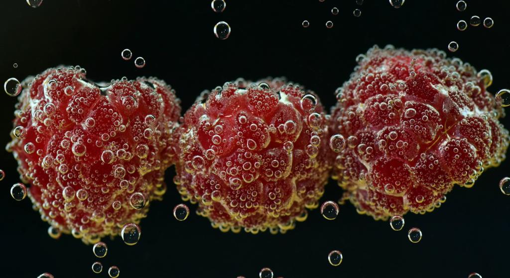 三个红色微观生物摄影的高清壁纸