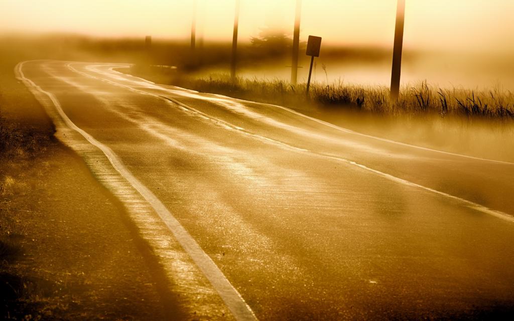 雾,早上,景观,道路