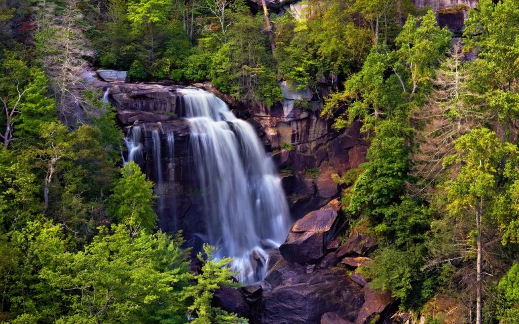 壁纸瀑布,树木,岩石,白水瀑布,流