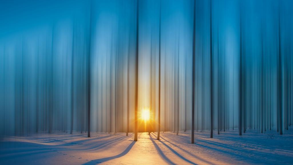 冬天森林里的日出
