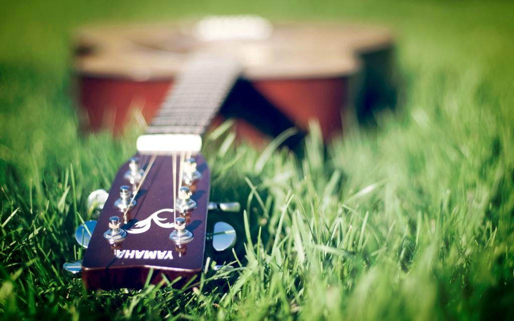 吉他,草,音乐