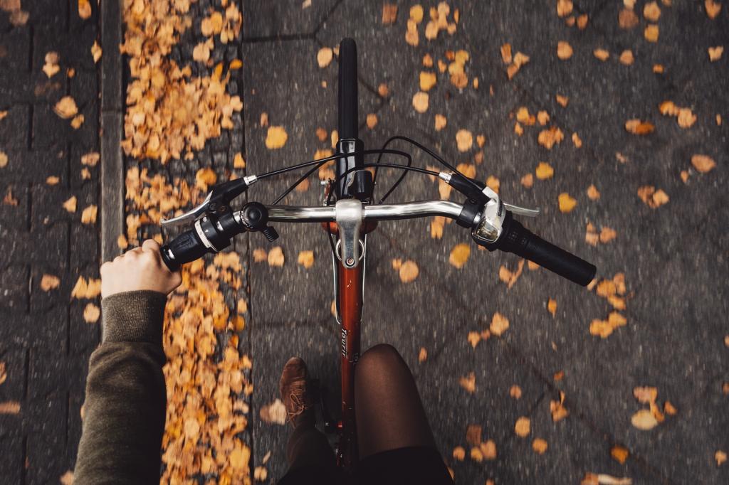自行车,女孩,秋季,摊铺机,罗纳凯勒