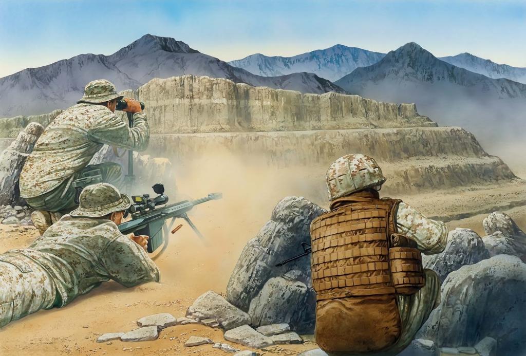 武器,高山,艺术,士兵,阿富汗装备