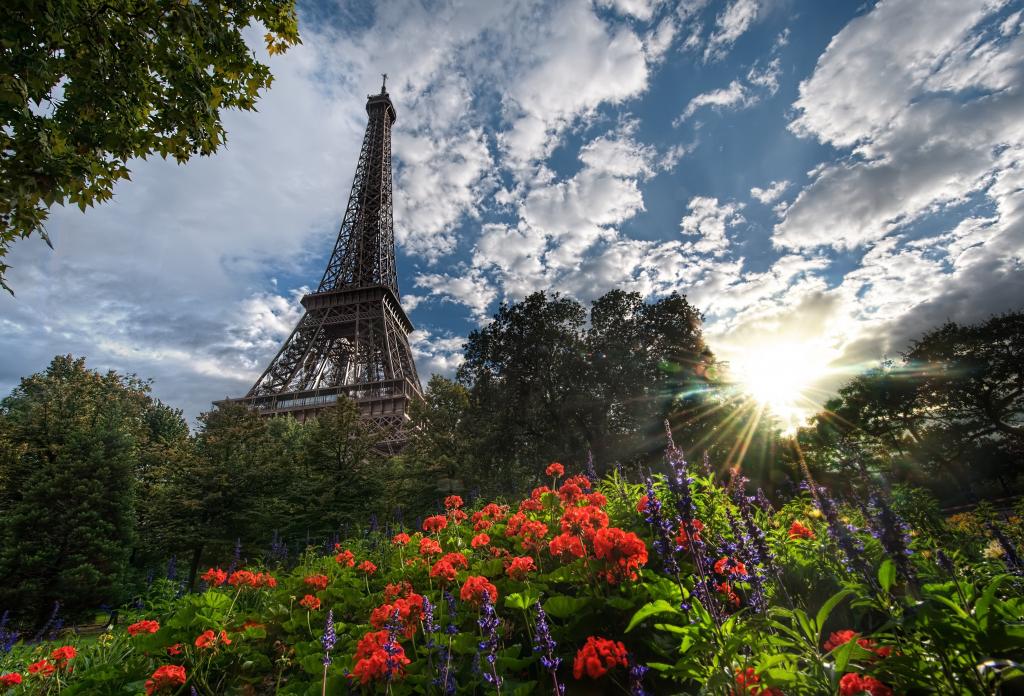 鲜花,法国,鲜花,巴黎,埃菲尔铁塔,法国,夏天,夏天,巴黎,埃菲尔铁塔