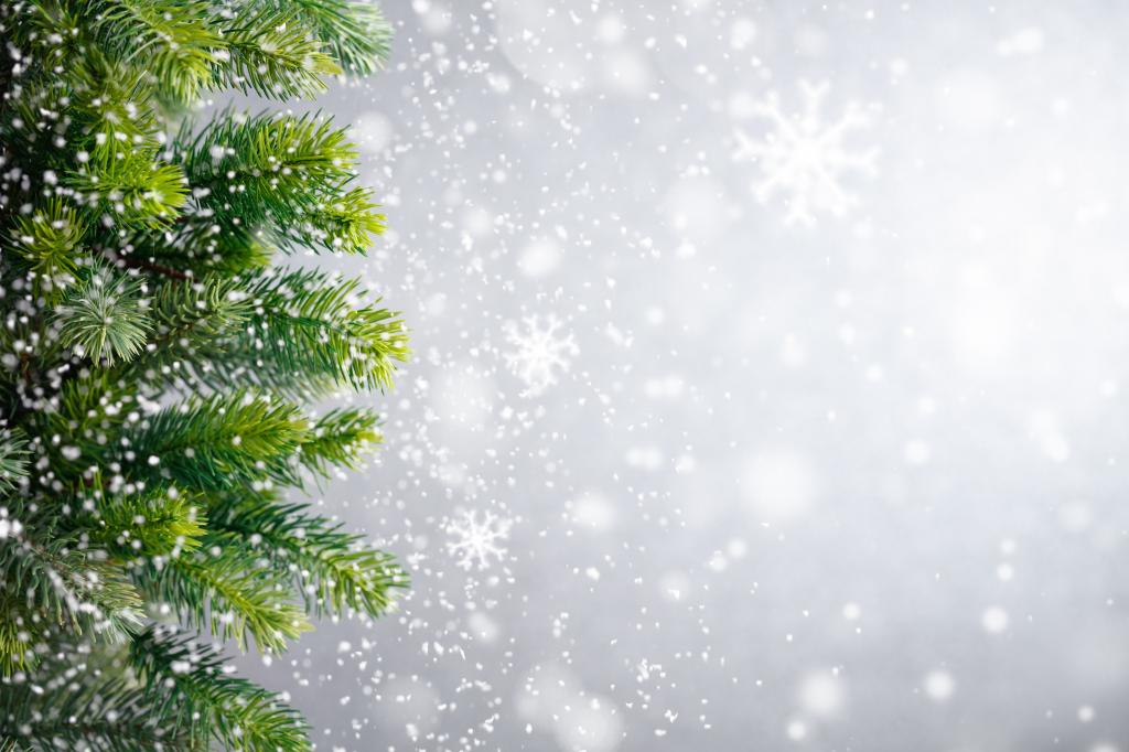 圣诞节,新年,雪,雪,冬天,雪花,树,圣诞节,圣诞节,冬天