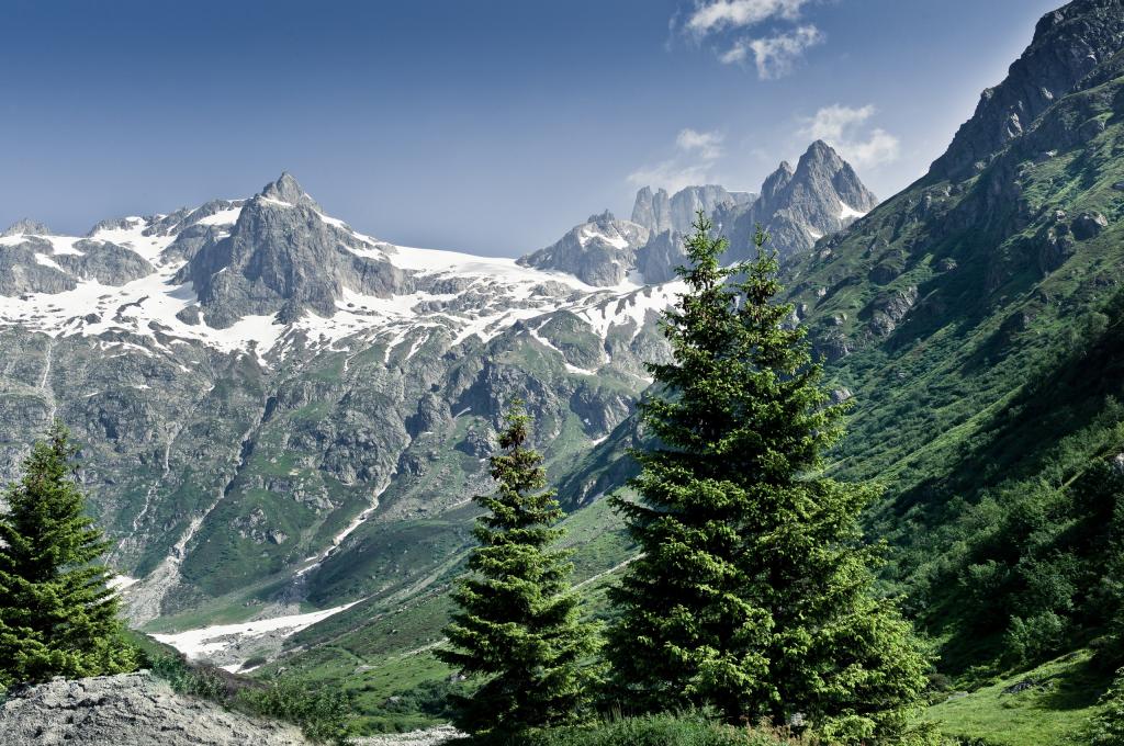 夏天,自然,山,森林,阿尔卑斯山