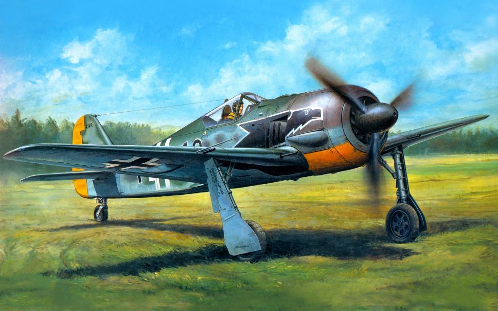 Focke-Wulf FW  -  190A  -  3,战斗机单翼机,艺术,WW2,德语,田野,单身,飞机