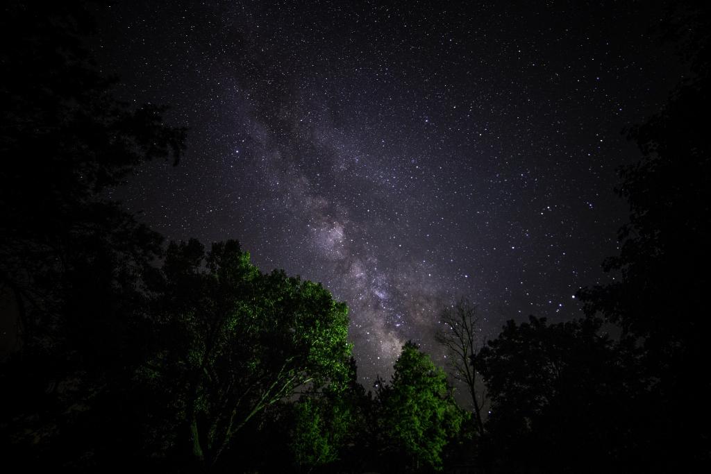 空间,夜晚,银河,树木,空间,星星