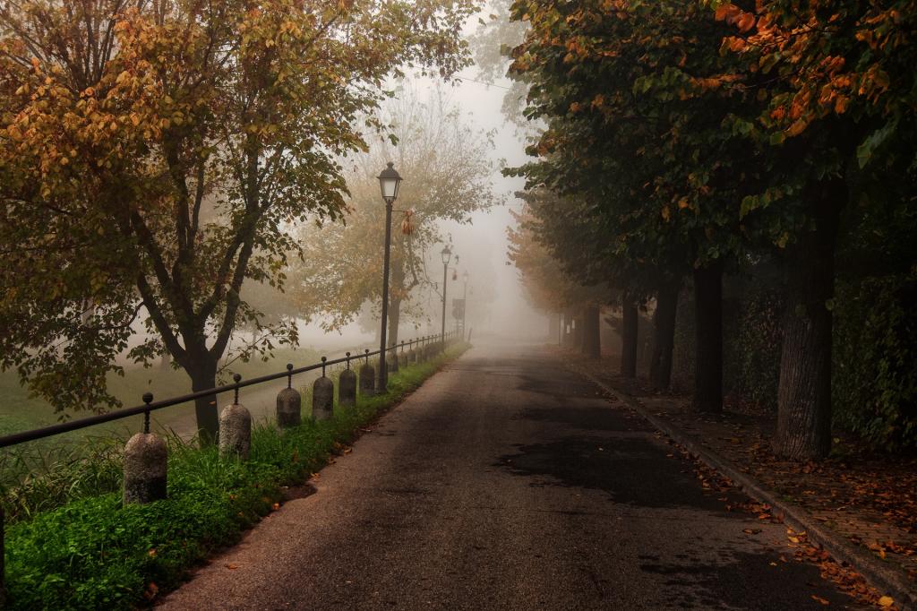 公园,性质,道路,树木,围栏,塞尔焦Locatelli摄影,叶子,秋天