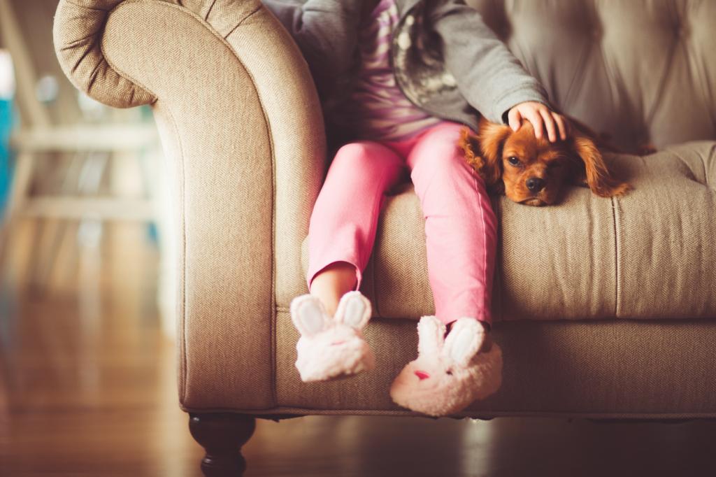 孩子坐在棕色的狗旁边的沙发高清壁纸