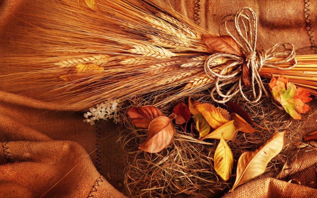 小麦,耳朵,粮食,黄色,秋天,叶子,小穗