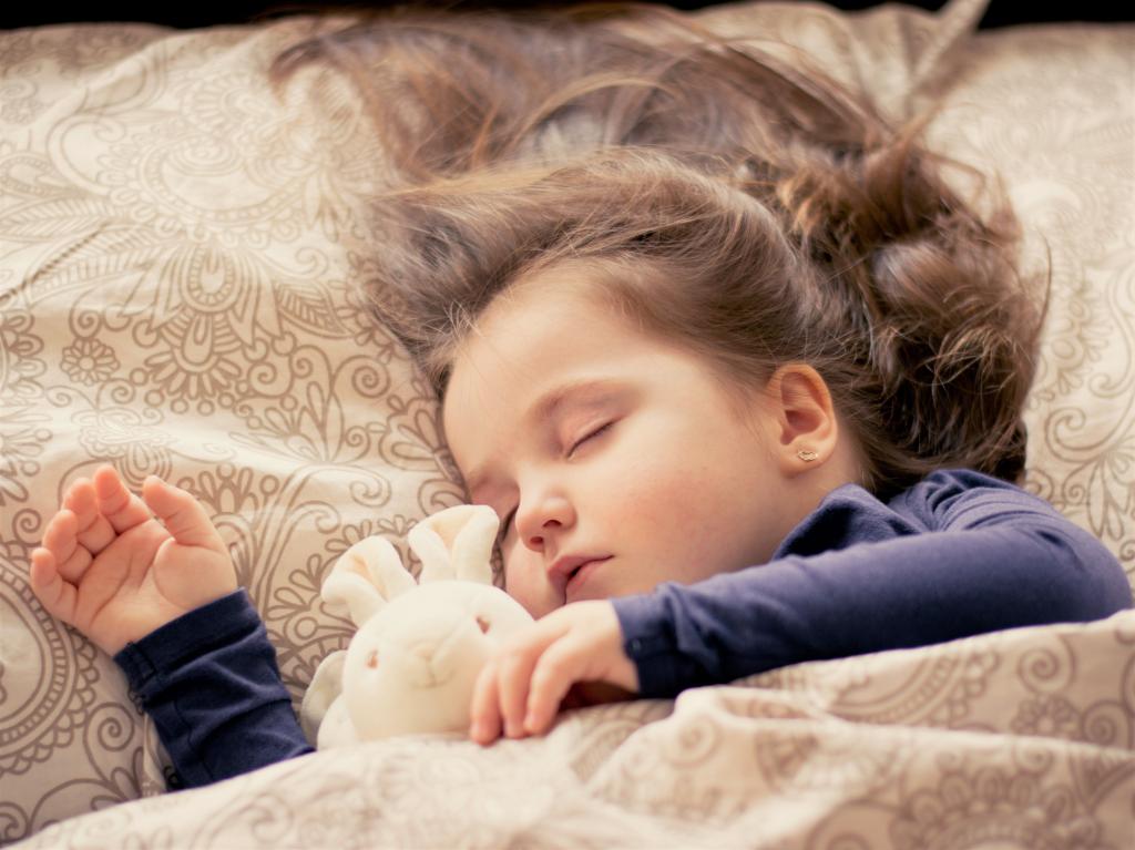睡觉的女孩与兔毛绒玩具在她身边高清壁纸