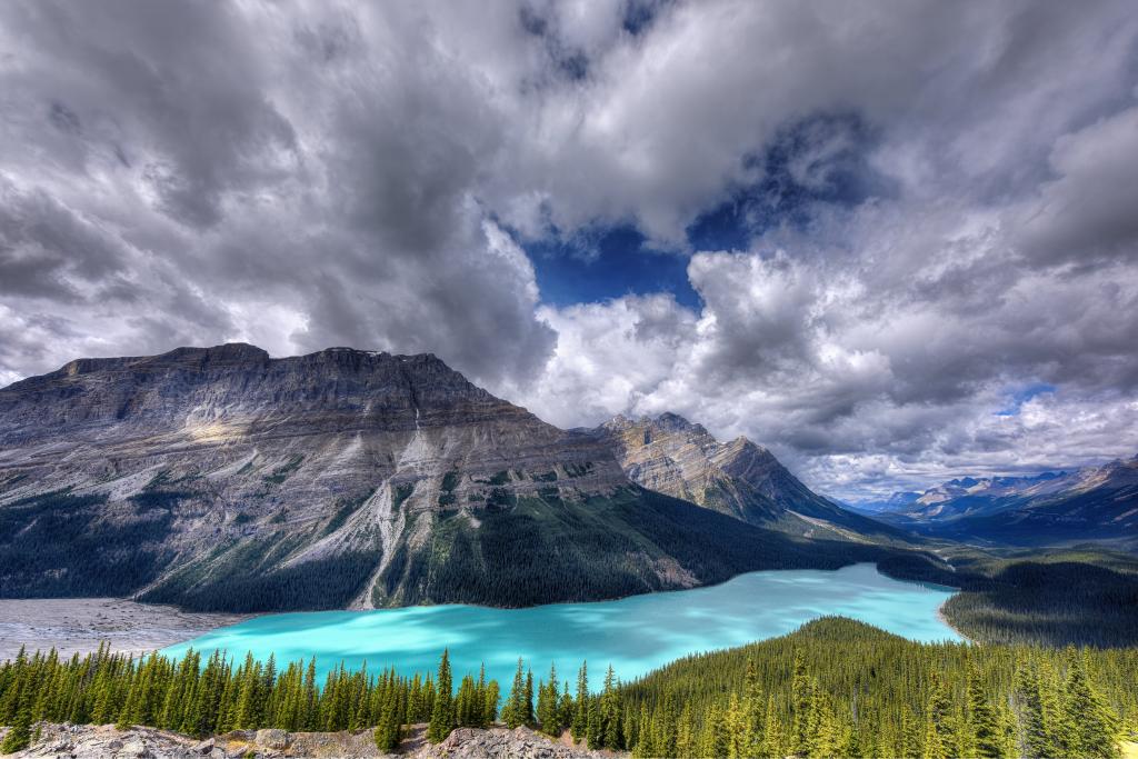 灰色的洛基山附近的湖泊和绿色的森林,沛托湖,冰原大路,加拿大高清壁纸