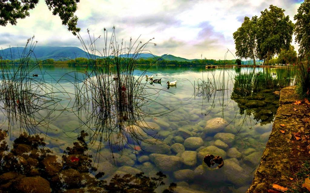 湖,Priroda,水,景观