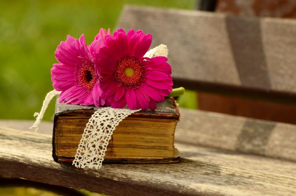 两个粉红色的雏菊棕色木制长椅上的棕色书高清壁纸