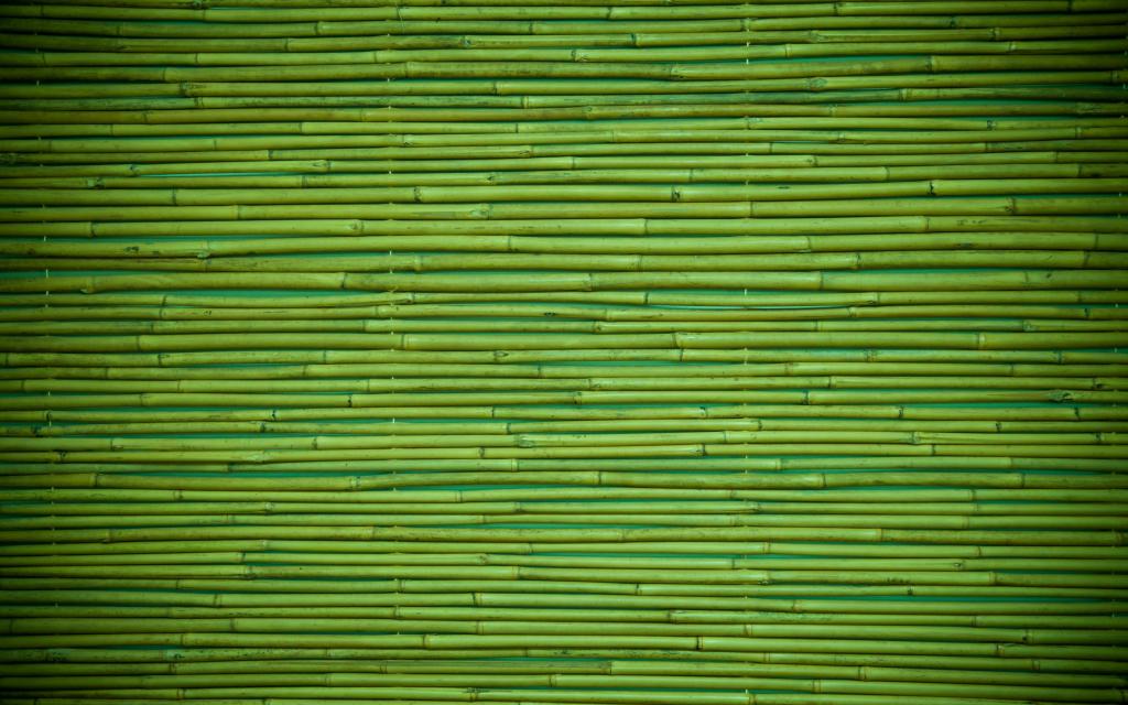 图案,竹子,木材,绿色