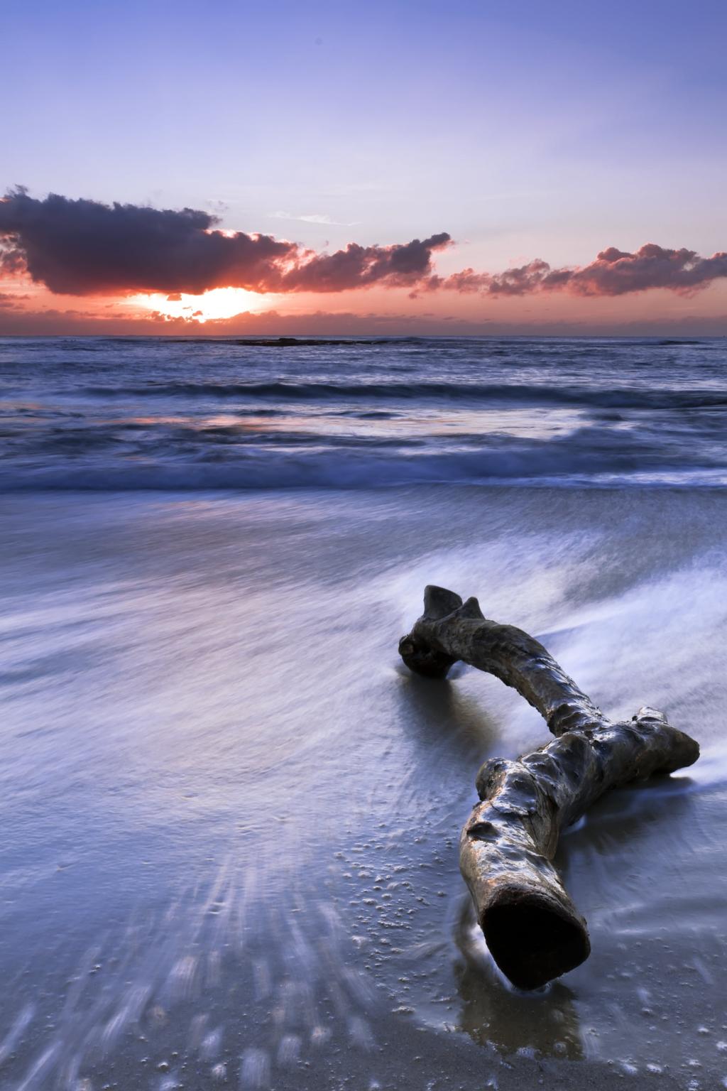 在金色的小时,cronulla高清壁纸在海滩海岸线上浮木
