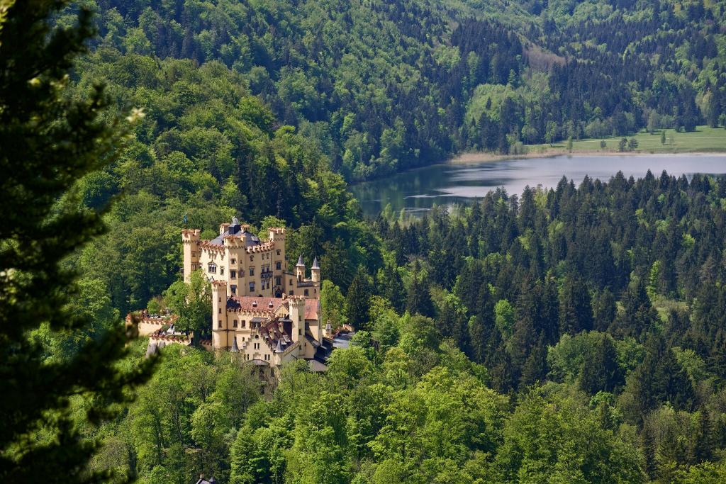 德国,巴伐利亚,德国,城堡,Schwansee湖,Schwansee湖,湖,城堡Hohenschwangau,Hohenschwangau城堡,拜仁,森林