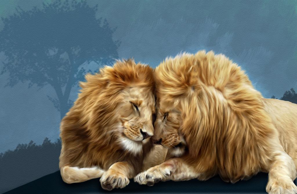 狮子,兄弟般的爱,Photoshop