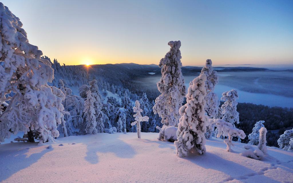 手,雪,冬天,树木,Konttainen,Ruka,库萨莫,全景,芬兰,芬兰,在库萨莫,风景