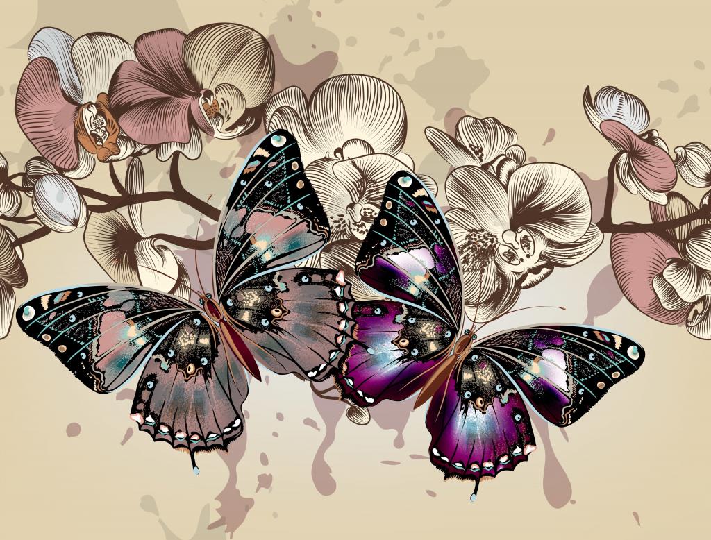 壁纸鲜花,颜色,矢量,翅膀,背景,蝴蝶