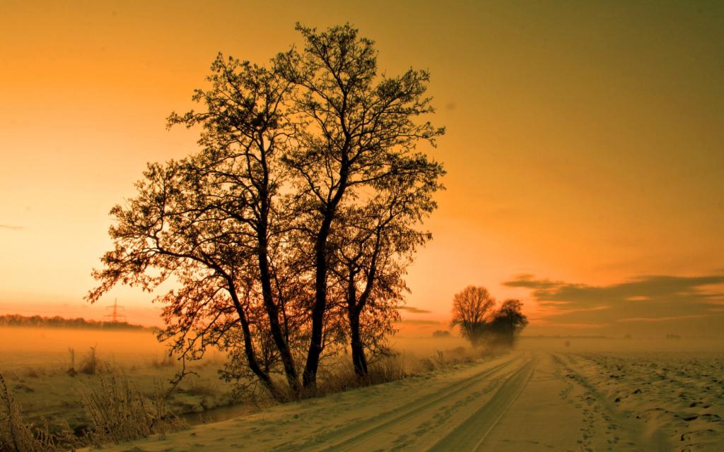 雪,冬天,雾,路,树,阴霾,阴霾,天空,日落