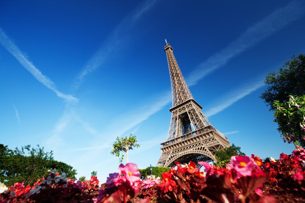 花卉,法国,法国,巴黎,树木,埃菲尔铁塔,拉埃菲尔铁塔,巴黎,艾菲尔铁塔,天空