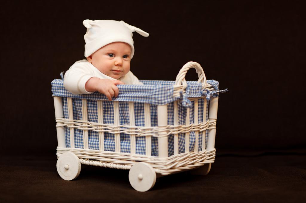 婴儿在篮子里高清壁纸