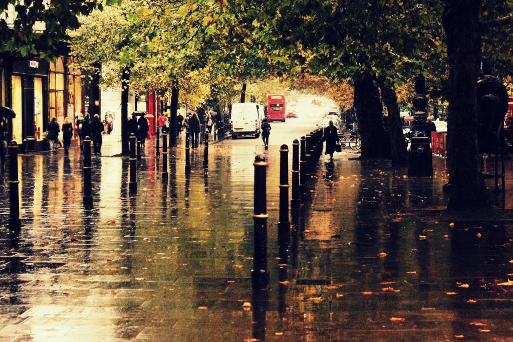 壁纸街,城市,秋天,雨