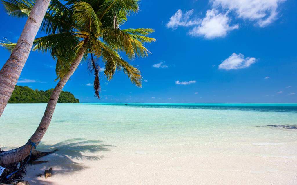 阳光,热带,夏天,沙滩,海边,海边,沙滩,海边,沙滩,棕榈树,沙滩,小岛,天堂,棕榈...