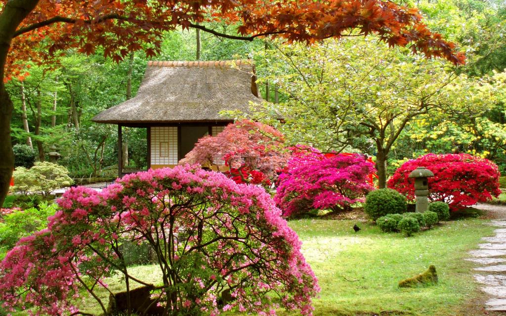 日本的花园,树木,房子,鲜花,景观