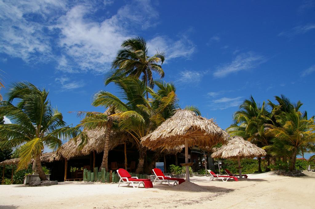 棕榈树,留,凉亭,遮阳伞,沙滩,日光浴浴床